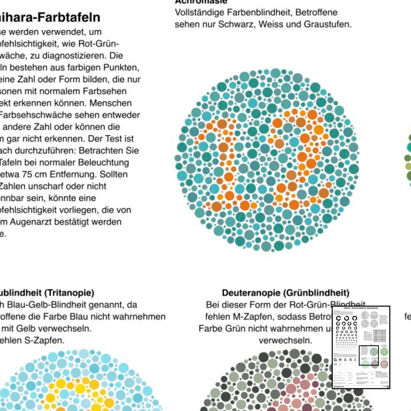 Lernposter© | Sehtest Lernposter | Verschiedene Testmethoden zur Sehstärkekontrolle – ideal für den ersten Sehtest und als Vorbereitung auf den Augenarzttermin. Perfekt für Kinder und Erwachsene!