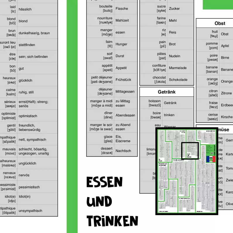 Lern Frosch® Französisch A1-A2 Wortschatz lernen | Vokabelposter für Anfänger & Wiedereinsteiger | über 600 Wörter lernen