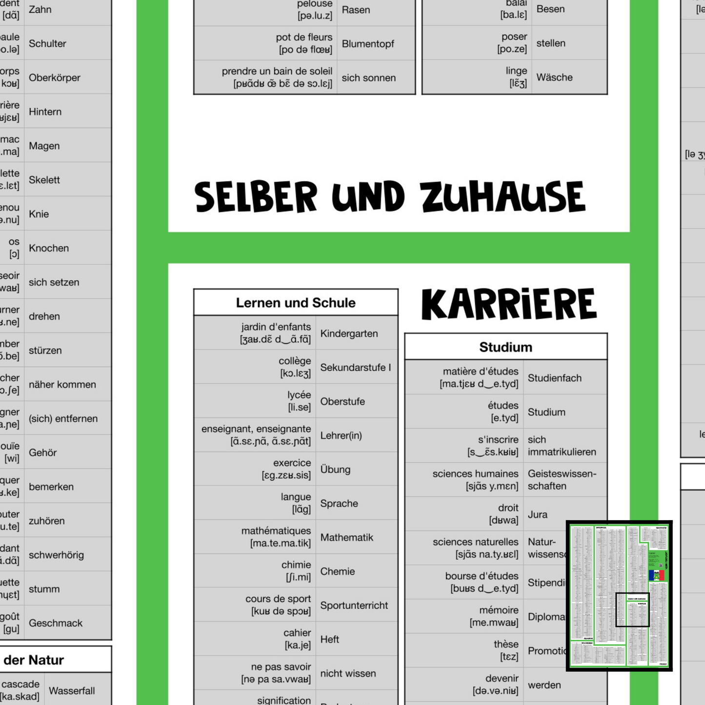 Lern Frosch® Französisch B1-B2 Wortschatz lernen | Vokabelposter für Fortgeschrittene & Wiedereinsteiger | über 600 Wörter lernen