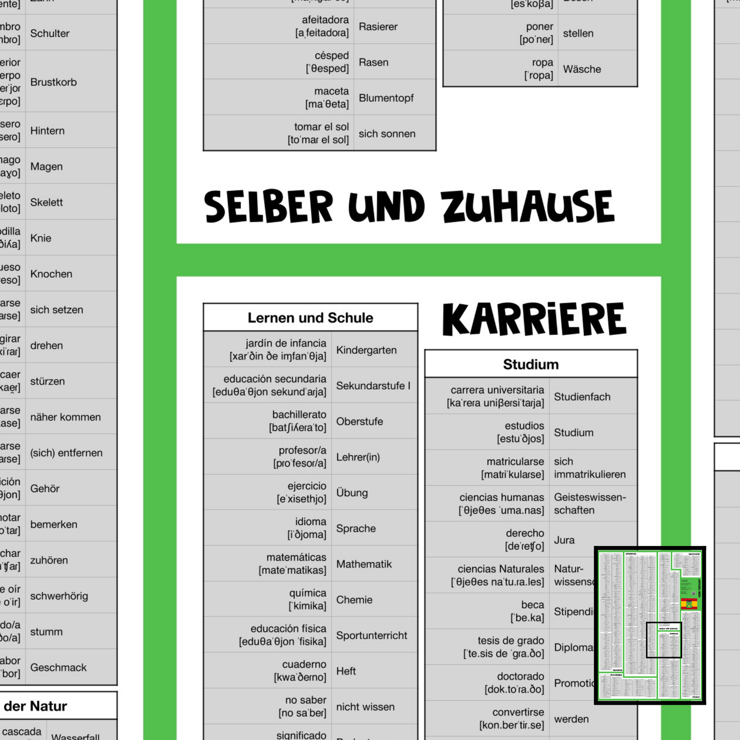 Lern Frosch® Spanisch B1-B2 Wortschatz lernen | Vokabelposter für Fortgeschrittene & Wiedereinsteiger | über 600 Wörter lernen