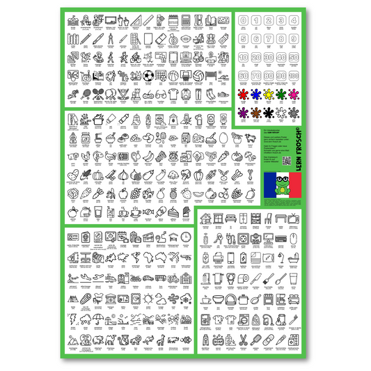 Lern Frosch® A0-A1 Französisch Wortschatz lernen | Vokabelposter für Anfänger zum visuellen Lernen | 300 Wörter mit Bildern & Lautschrift für den Alltag zum Lernen